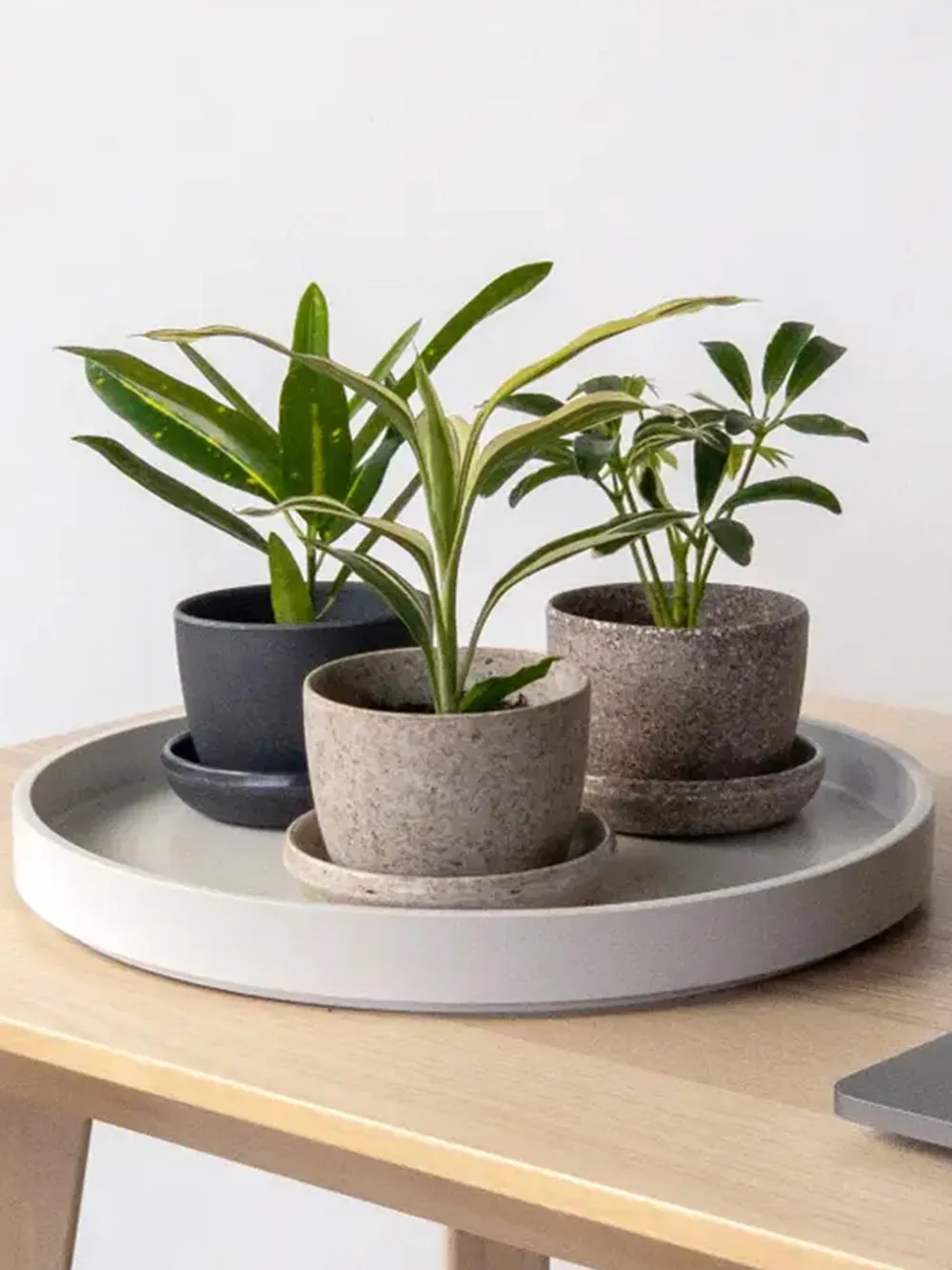 3" Bamboo Fiber Mini Planter (Black)