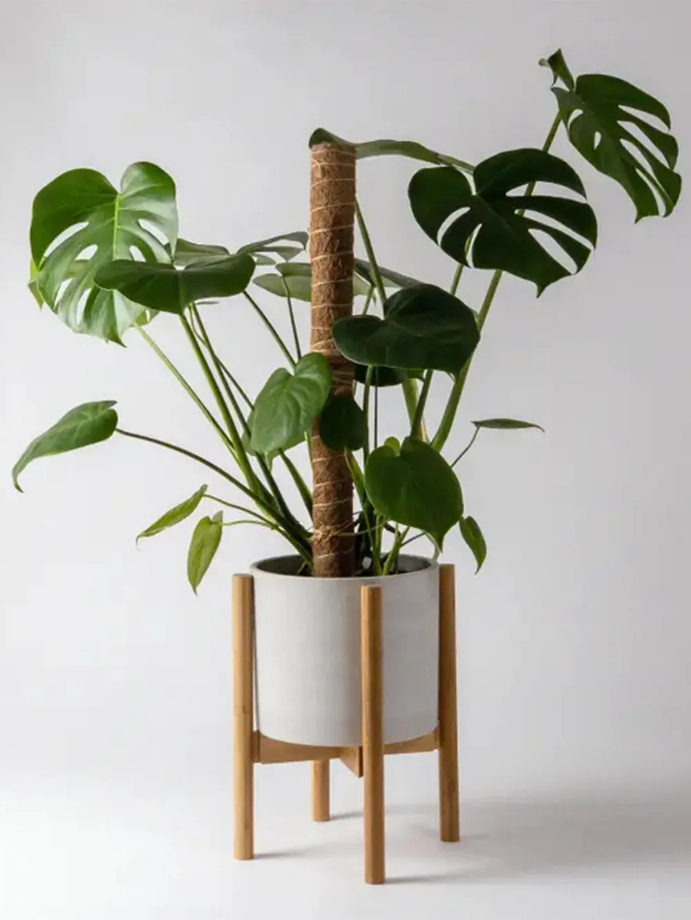 Adjustable Bamboo Plant Stand