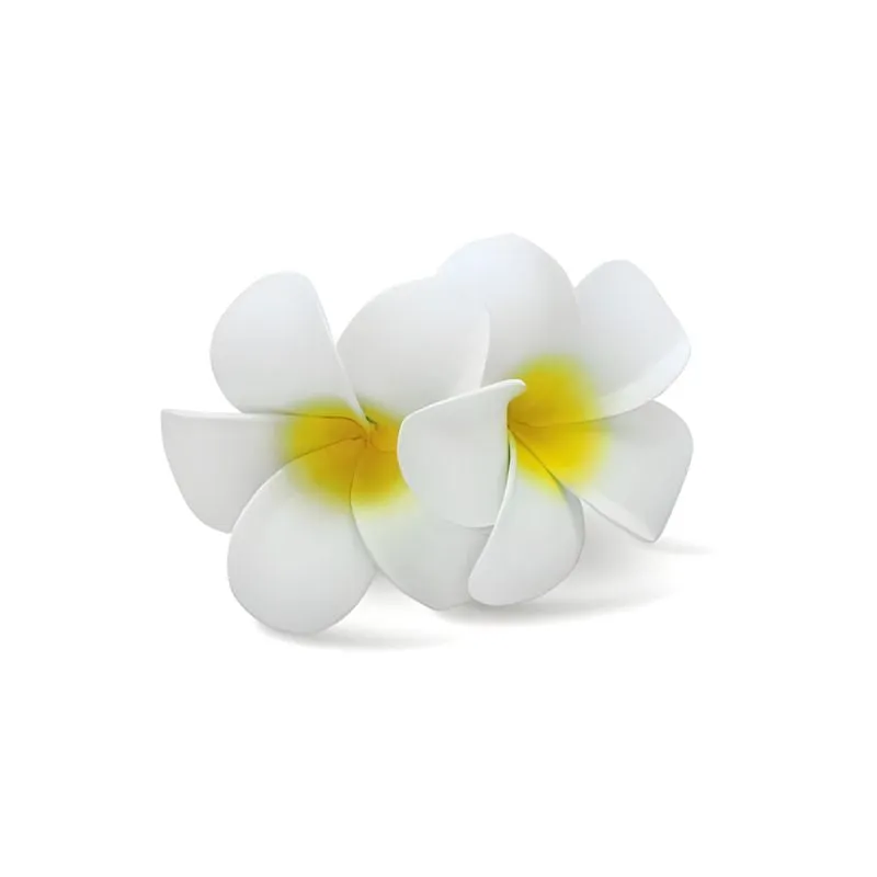 Double Plumeria Hair Clip