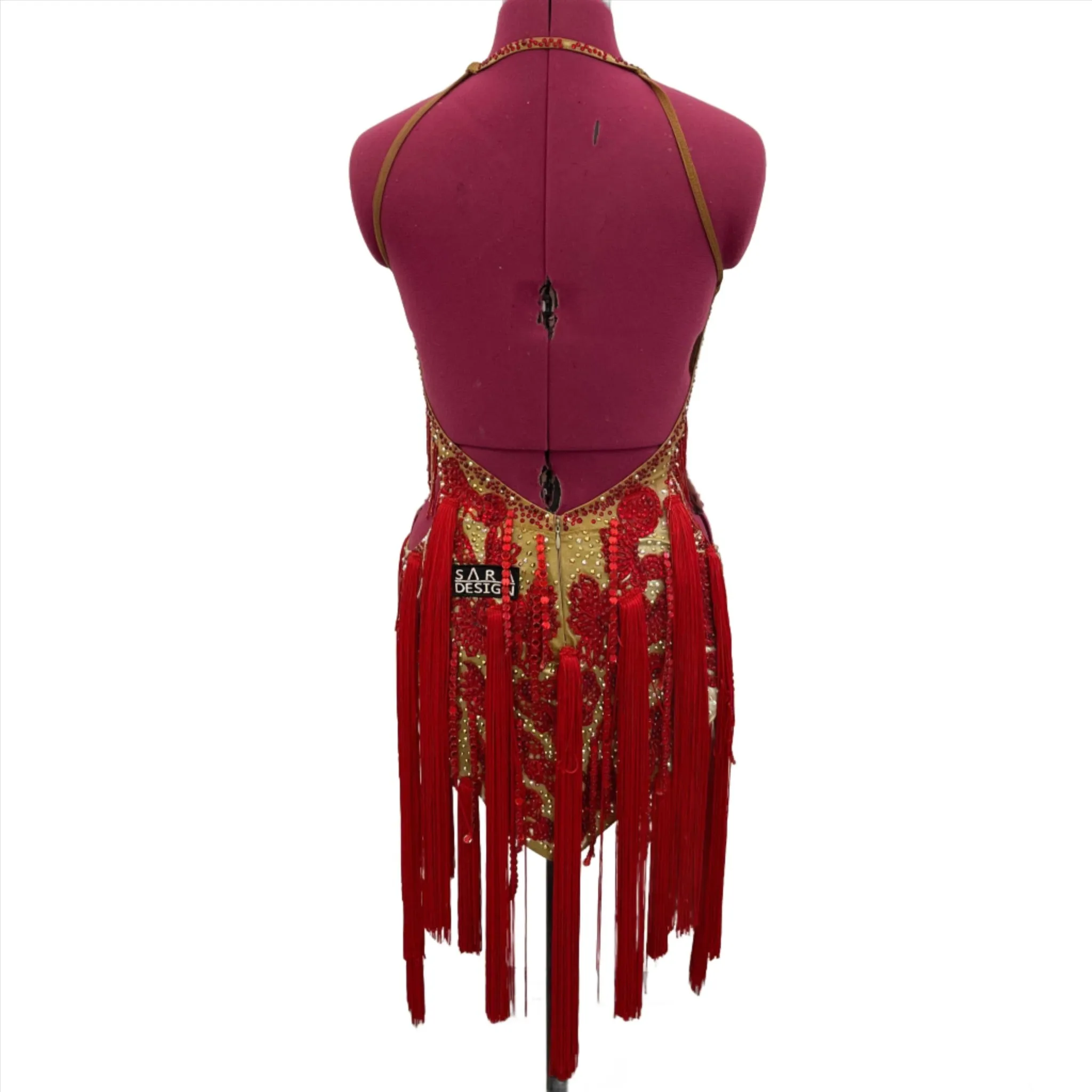 Gold and Vibrant Red Fringe Latin Dance Dress