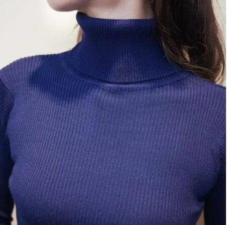 Knitted Turtleneck Dress