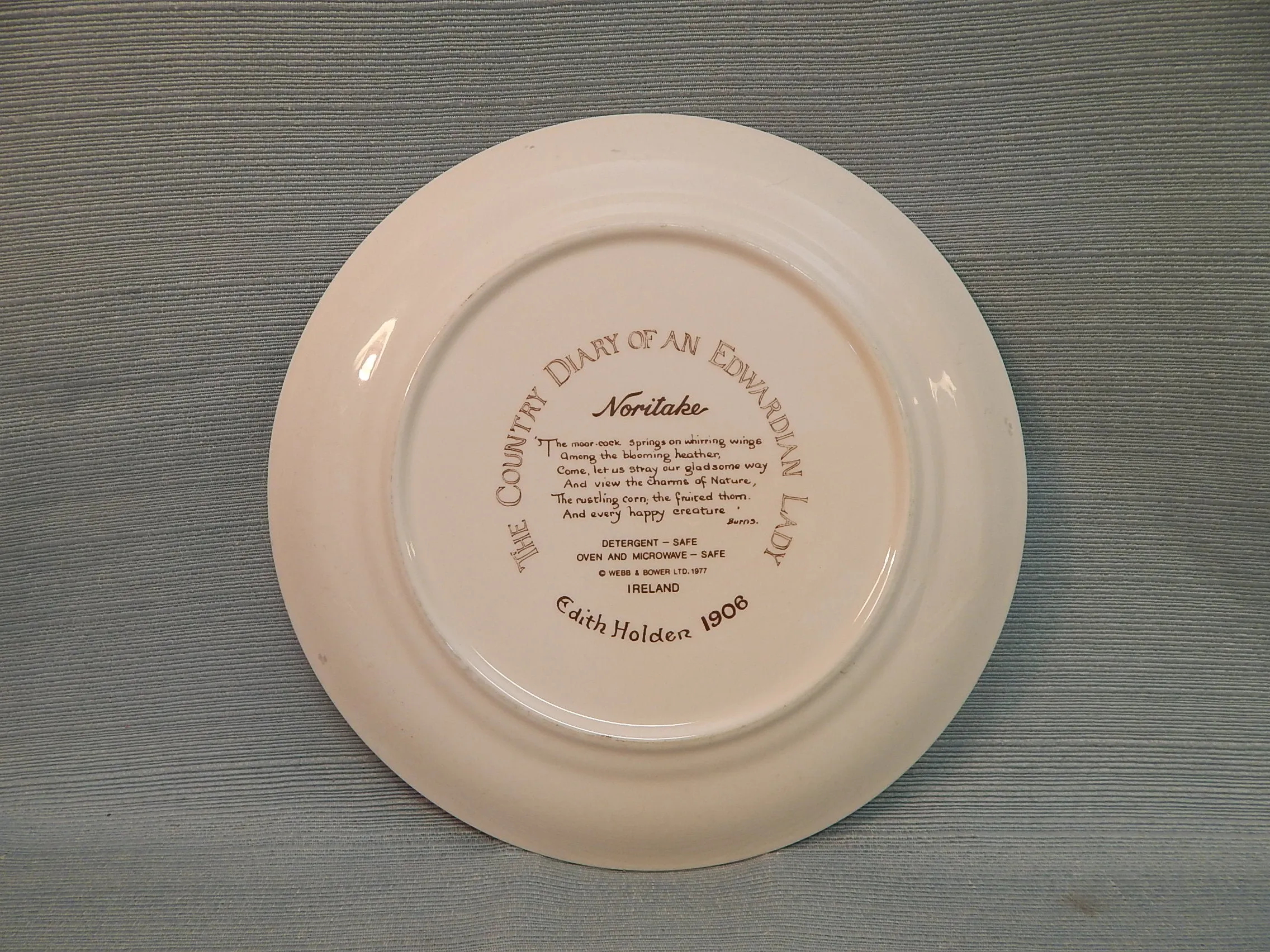 Noritake Ireland "The County Diary of an Edwardian Lady" Dinner Plates - Very Good Condition