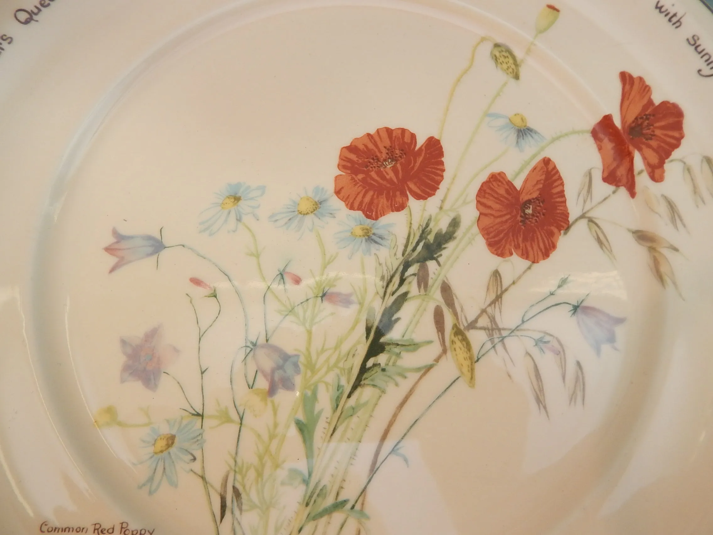 Noritake Ireland "The County Diary of an Edwardian Lady" Dinner Plates - Very Good Condition